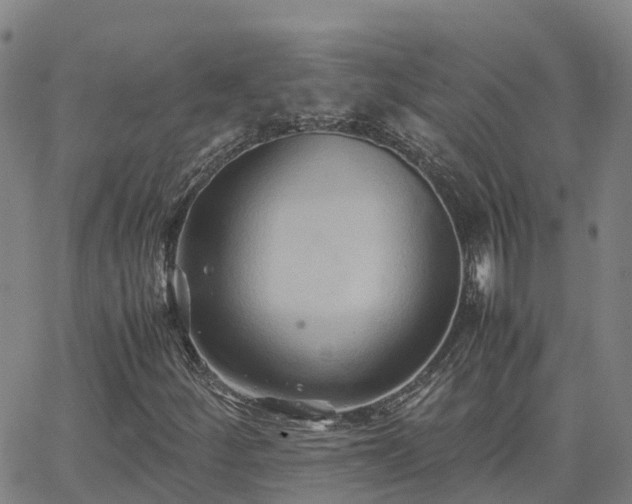 X0000062831252200601201604