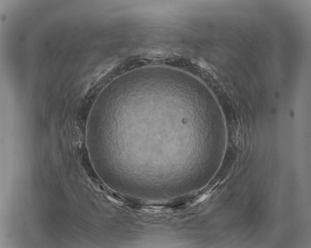 X0000062831253200601201604