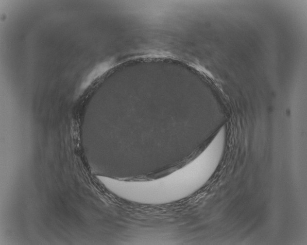 X0000062831255200601201604