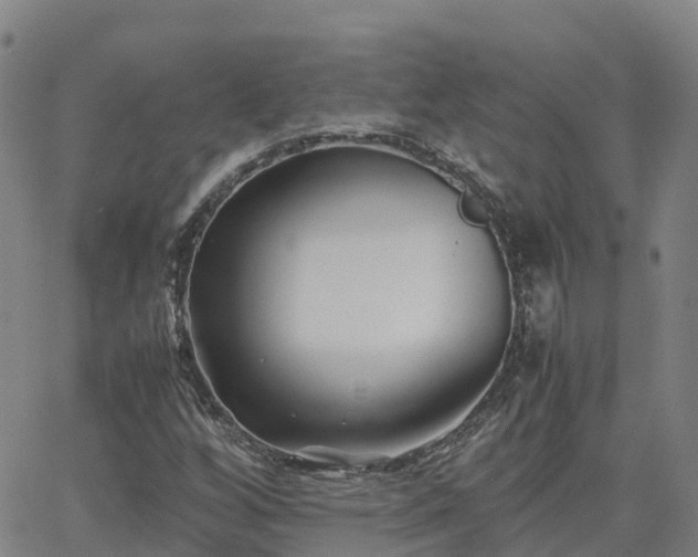 X0000062831256200601201604