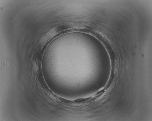 X0000062831257200601201604