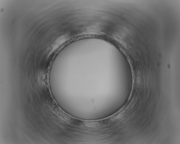 X0000062831258200601201604