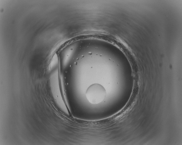 X0000062831259200601201604