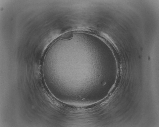 X0000062831260200601201604