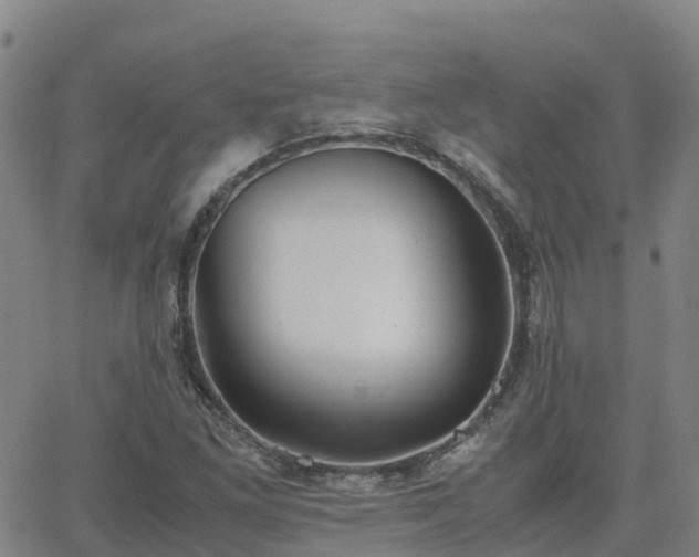 X0000062831261200601201604