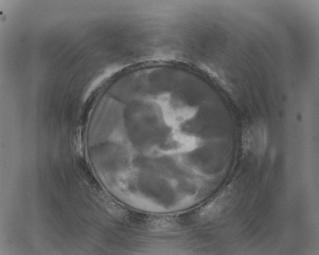 X0000062831262200601201604