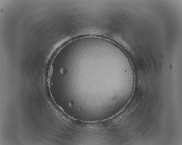 X0000062831264200601201604