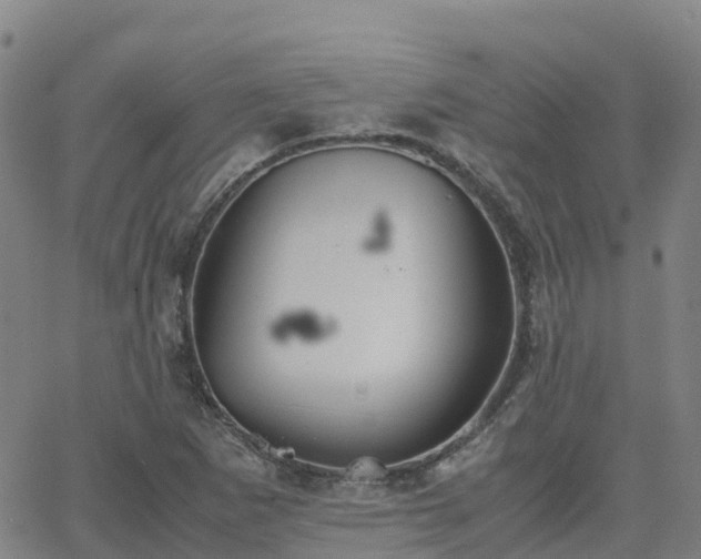 X0000062831265200601201604