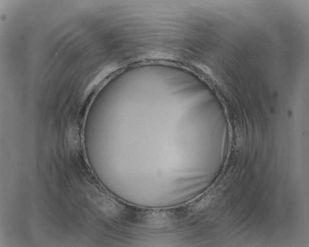 X0000062831266200601201604