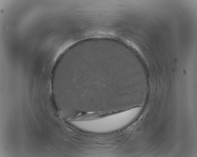 X0000062831267200601201604