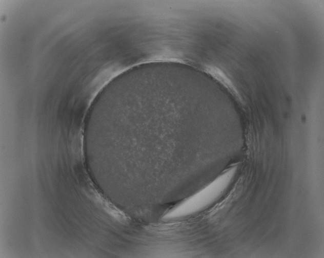 X0000062831268200601201604