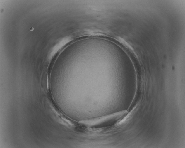 X0000062831269200601201604