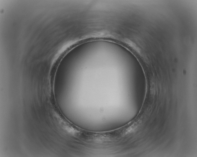 X0000062831270200601201603