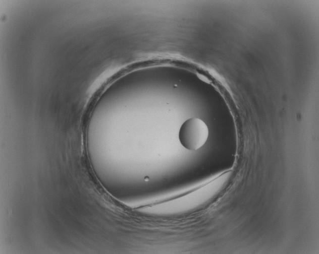 X0000062831271200601201603