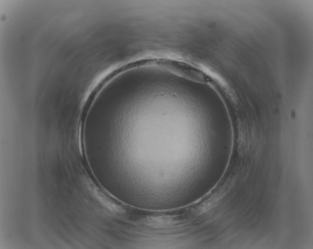 X0000062831272200601201603