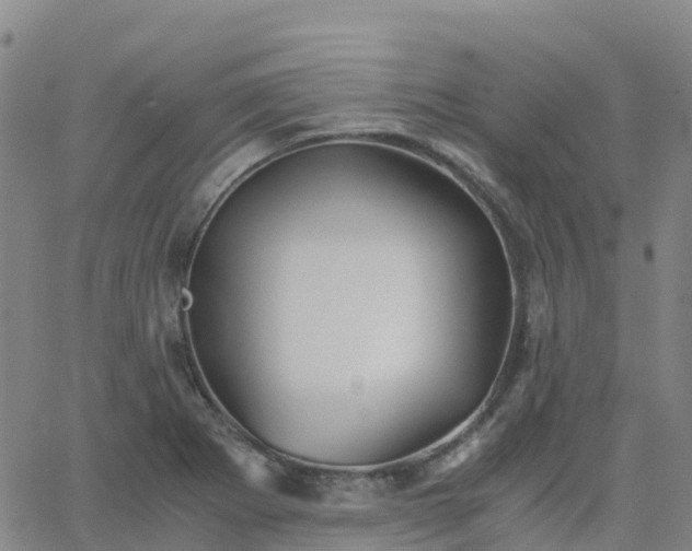 X0000062831273200601201603