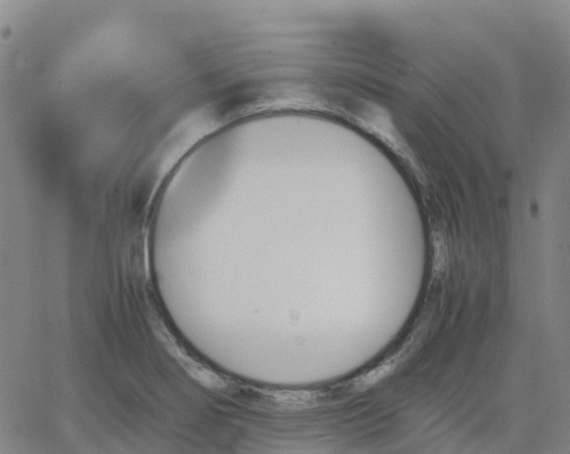 X0000062831274200601201603