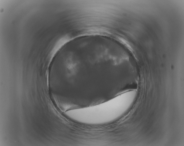 X0000062831275200601201603