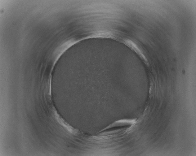 X0000062831276200601201603