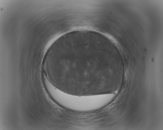 X0000062831279200601201603