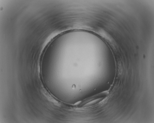 X0000062831280200601201603