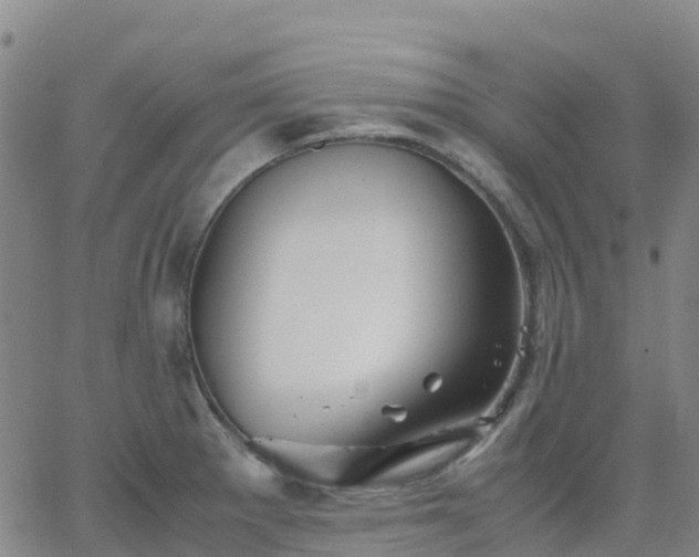 X0000062831281200601201603