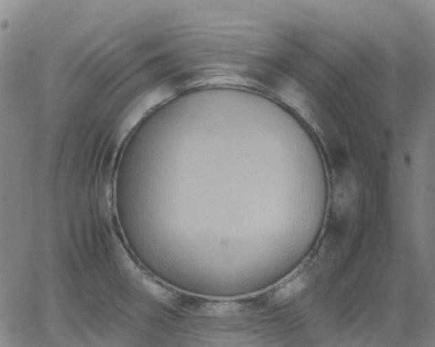 X0000062831282200601201603