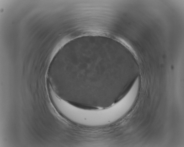 X0000062831283200601201603