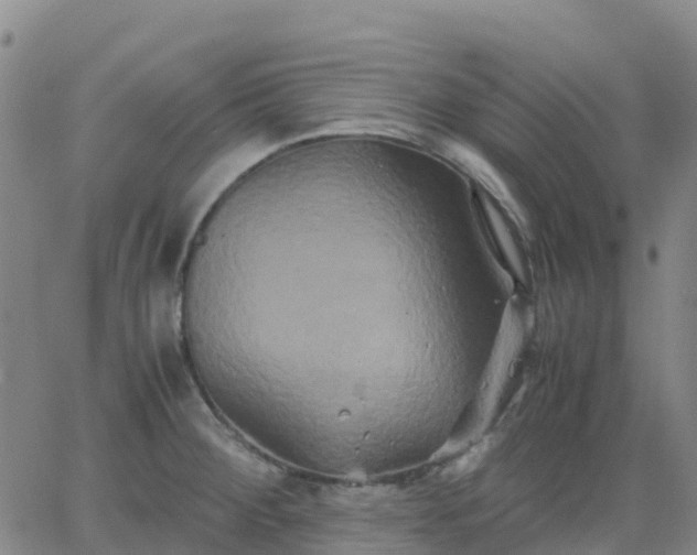 X0000062831284200601201603