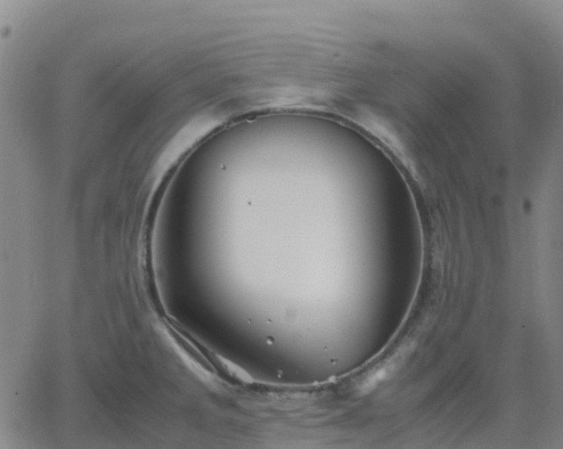 X0000062831285200601201603