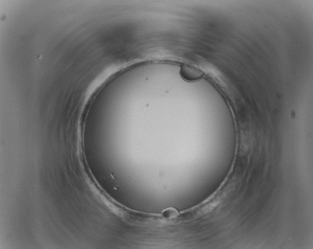 X0000062831286200601201603