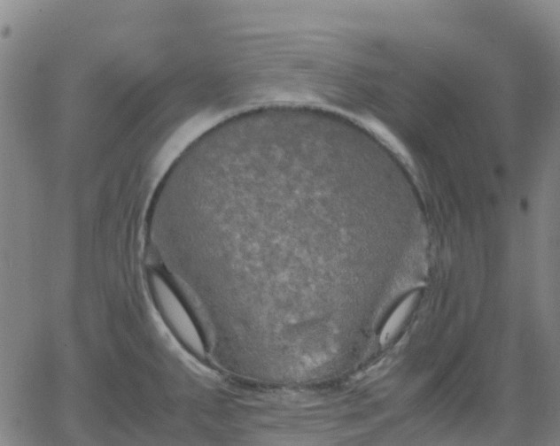 X0000062831287200601201603