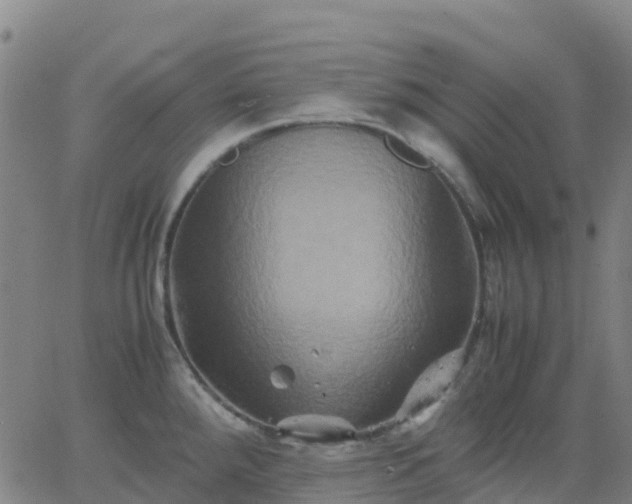 X0000062831288200601201603