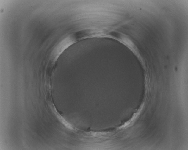 X0000062831289200601201603