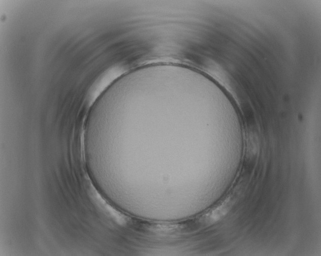 X0000062831290200601201603