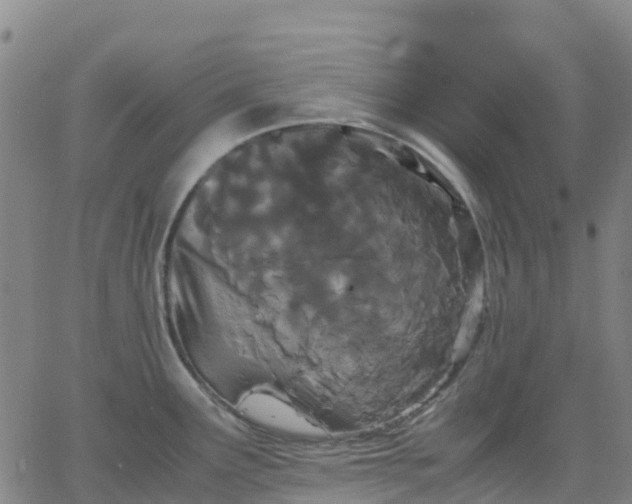 X0000062831291200601201603