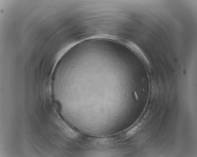 X0000062831292200601201603