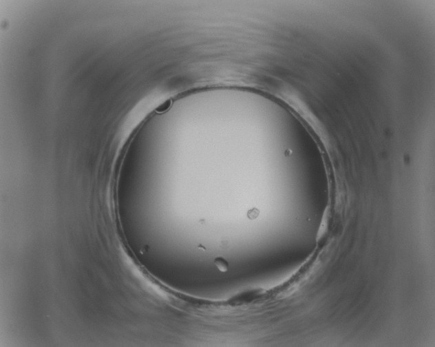 X0000062831293200601201603