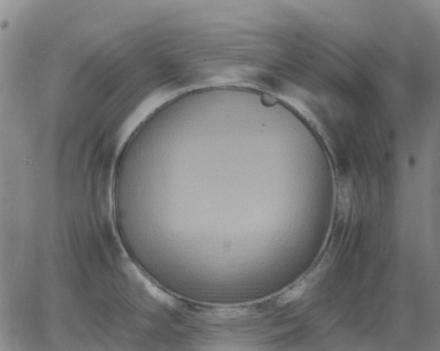 X0000062831294200601201603