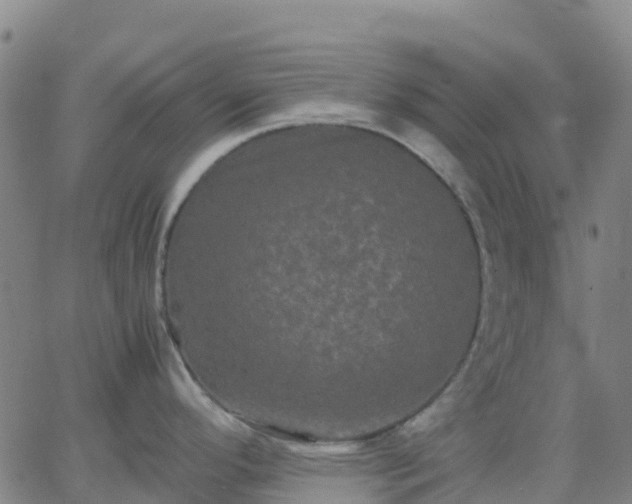 X0000062831296200601201603