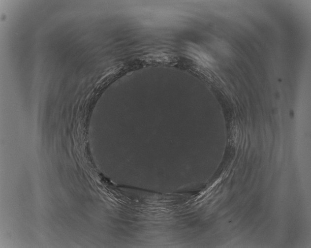 X0000062831297200601201602