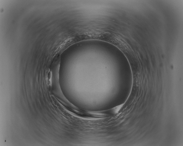 X0000062831298200601201602