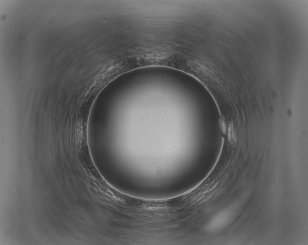 X0000062831299200601201602