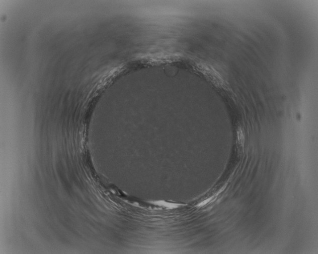 X0000062831300200601201602