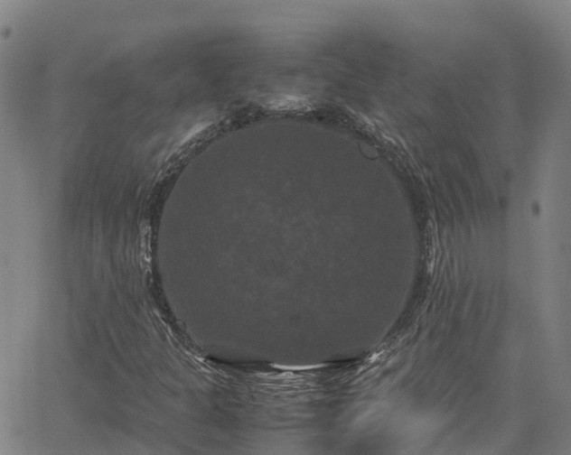 X0000062831301200601201602