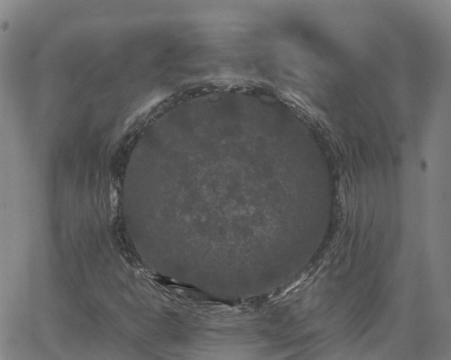 X0000062831302200601201602