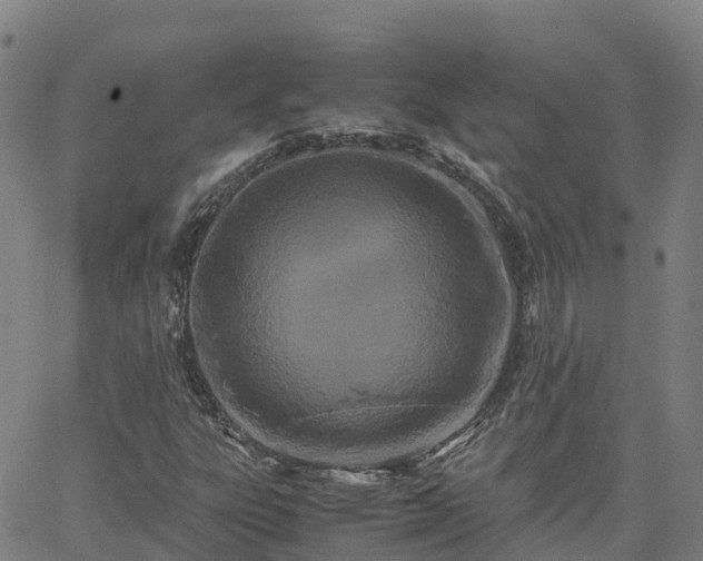 X0000062831303200601201602