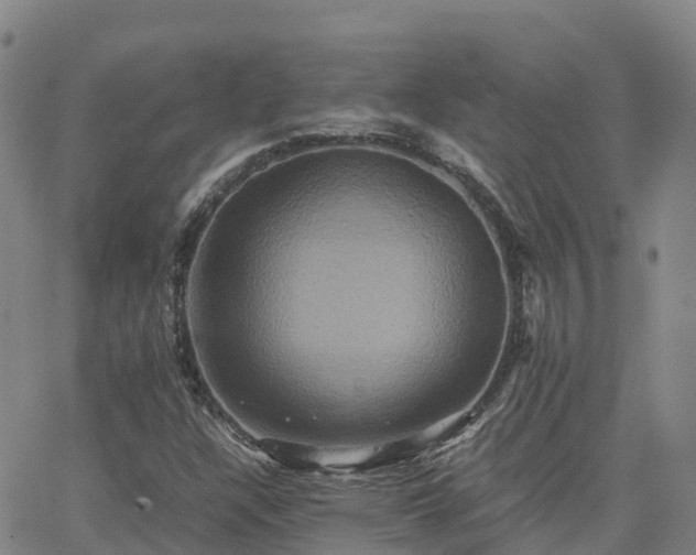 X0000062831304200601201602