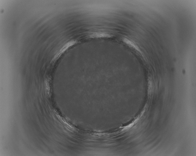 X0000062831305200601201602