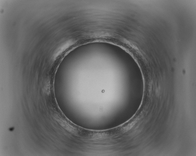 X0000062831306200601201602